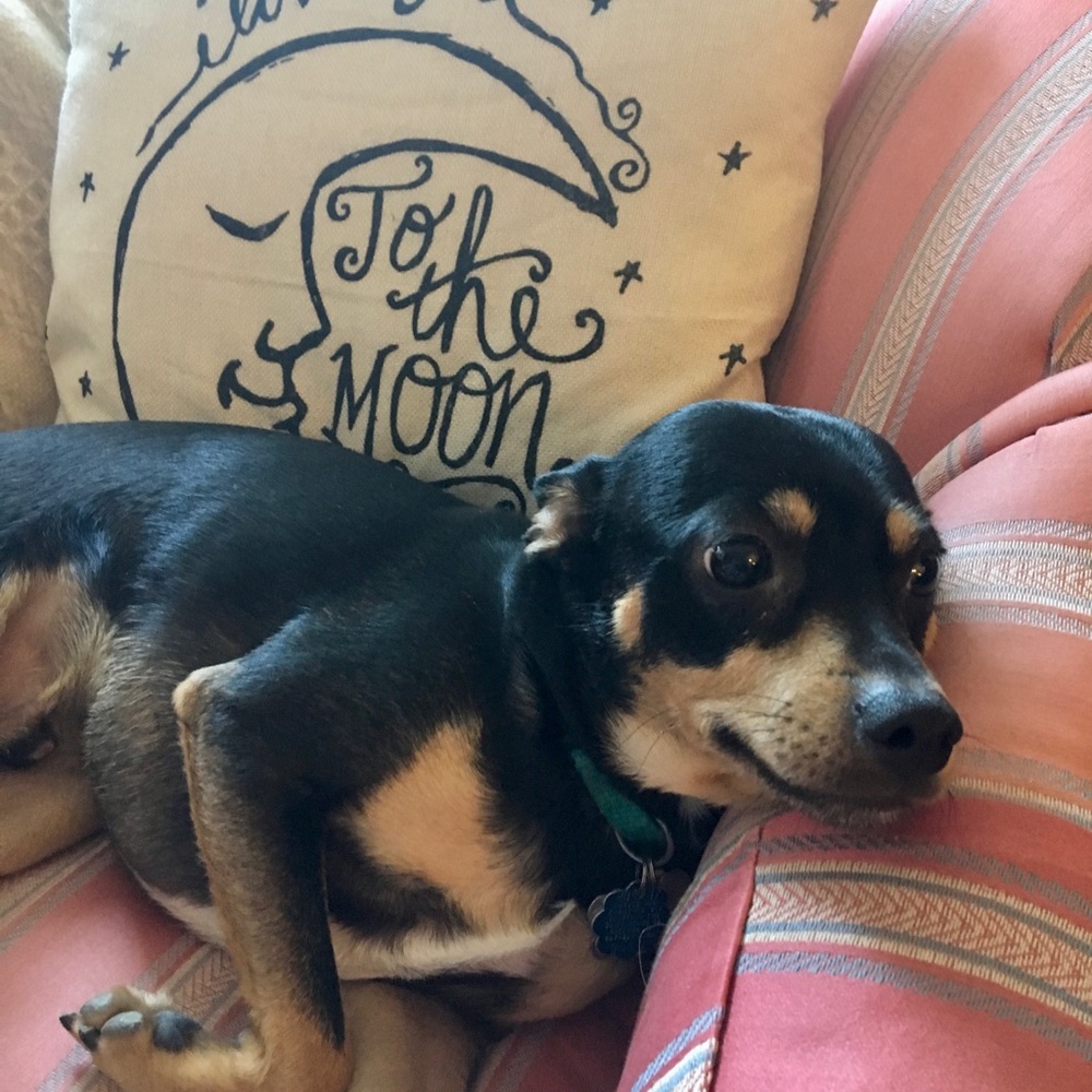 Meet your Posher, Yolanda